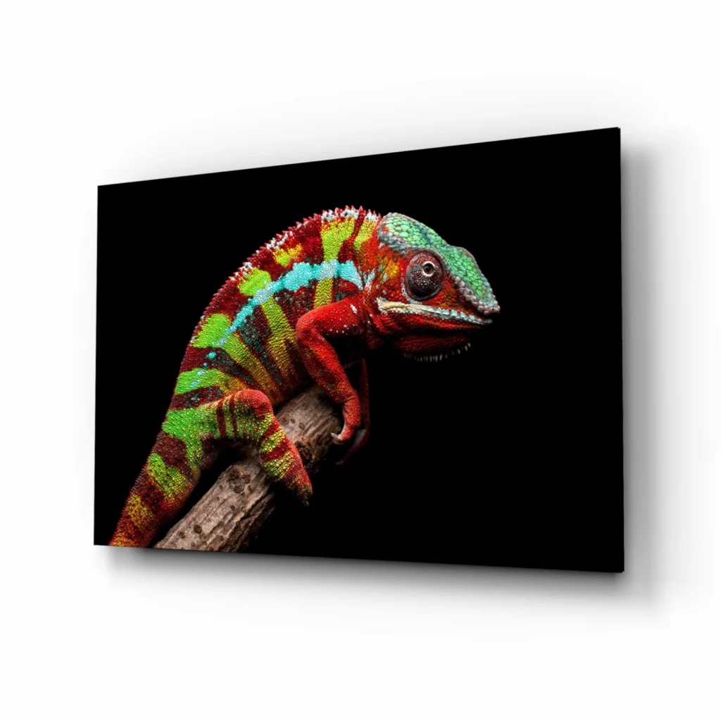 Vibrant multicolored chameleon portrait on sleek black canvas wall art