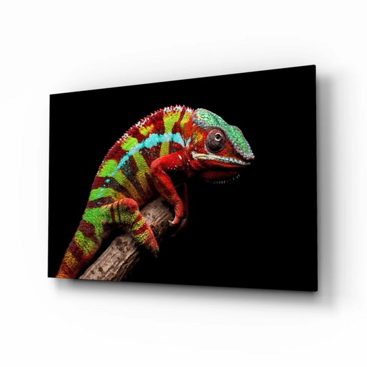 Vibrant multicolored chameleon portrait on sleek black canvas wall art