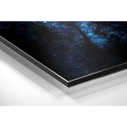 Stunning Brushed Aluminium Dibond Forest Art Print | Glass Wall Art Print | vintageantiquesgifts.com