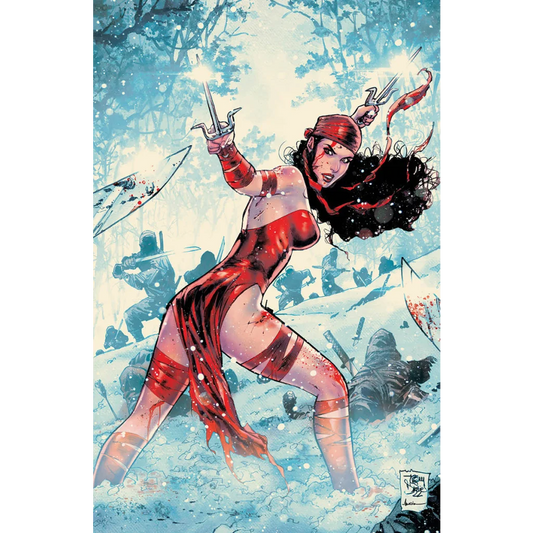 Comic book cover of Daredevil by Chip Zdarsky and Marco Checchetto with Elektra in snow fight