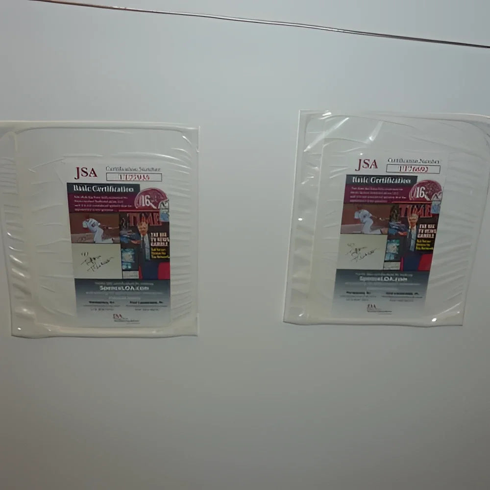 Framed Nirvana music poster with Dave Grohl and Krist Novoselic autographs, JSA certified