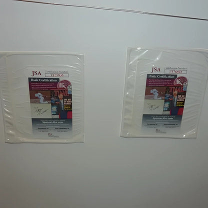Framed Nirvana music poster with Dave Grohl and Krist Novoselic autographs, JSA certified