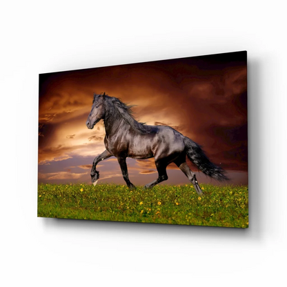Black horse galloping through yellow flowers in glass wall art sunset sky