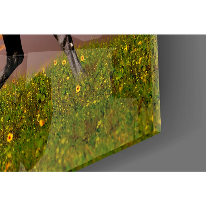 Vibrant sunflower field on glossy angled glass wall art panel