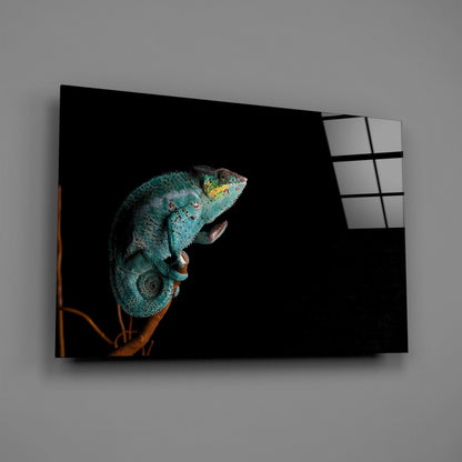 Turquoise Chameleon On Branch Black Glass Wall Art