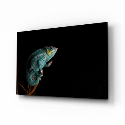 Turquoise Chameleon On Branch Black Glass Wall Art