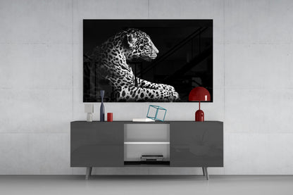 Resting Leopard Side Profile Glass Wall Art