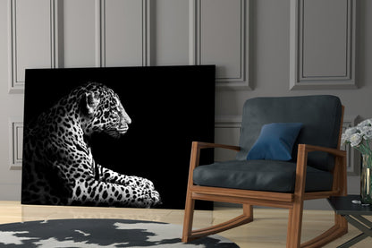 Resting Leopard Side Profile Glass Wall Art