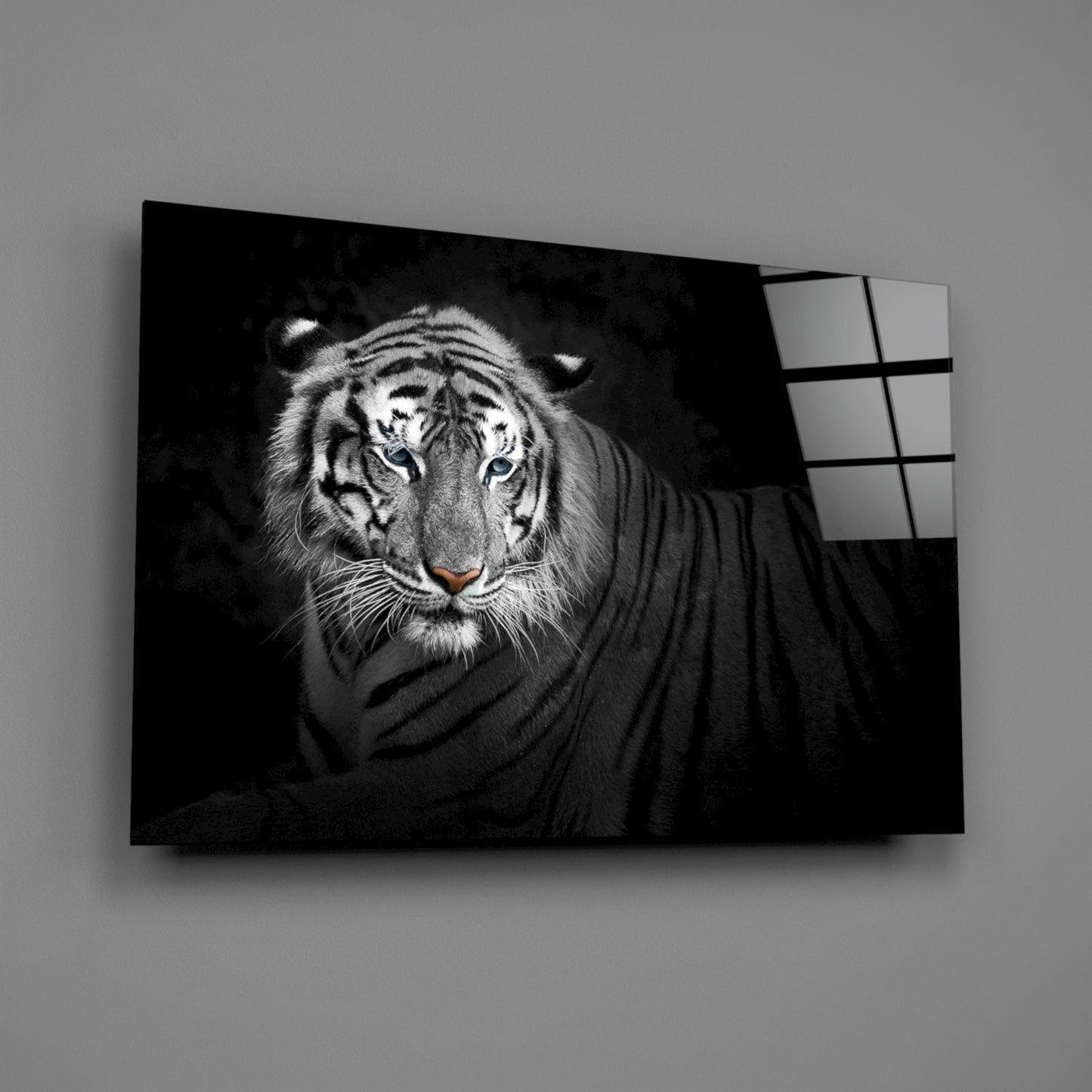 Reclining Blue Eyed Tiger Glass Wall Art