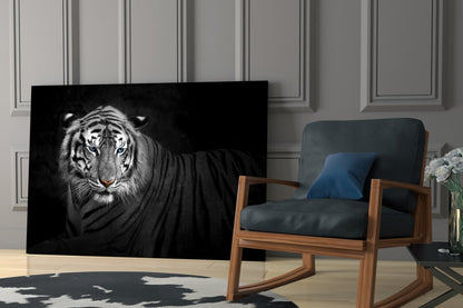 Reclining Blue Eyed Tiger Glass Wall Art