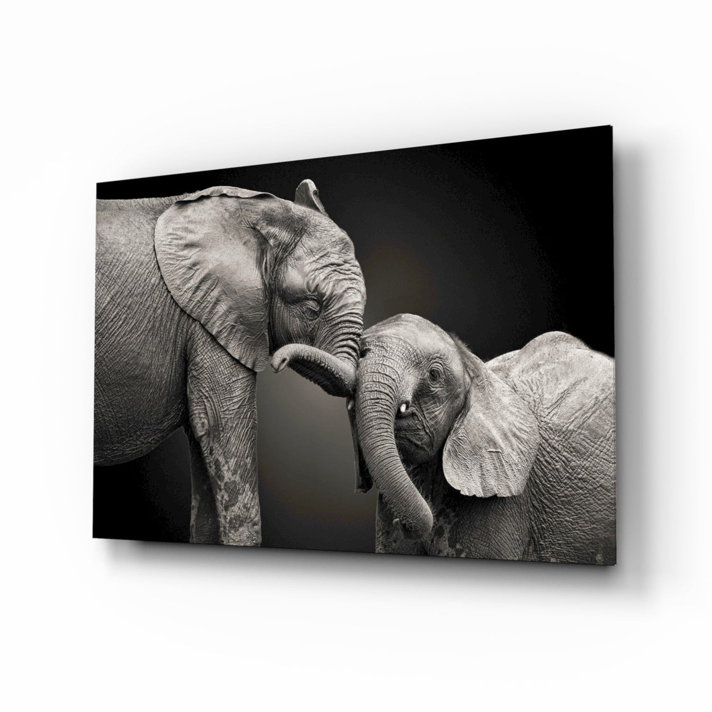 Adult elephant with trunk touching younger elephant calf against black background on glass wall art.