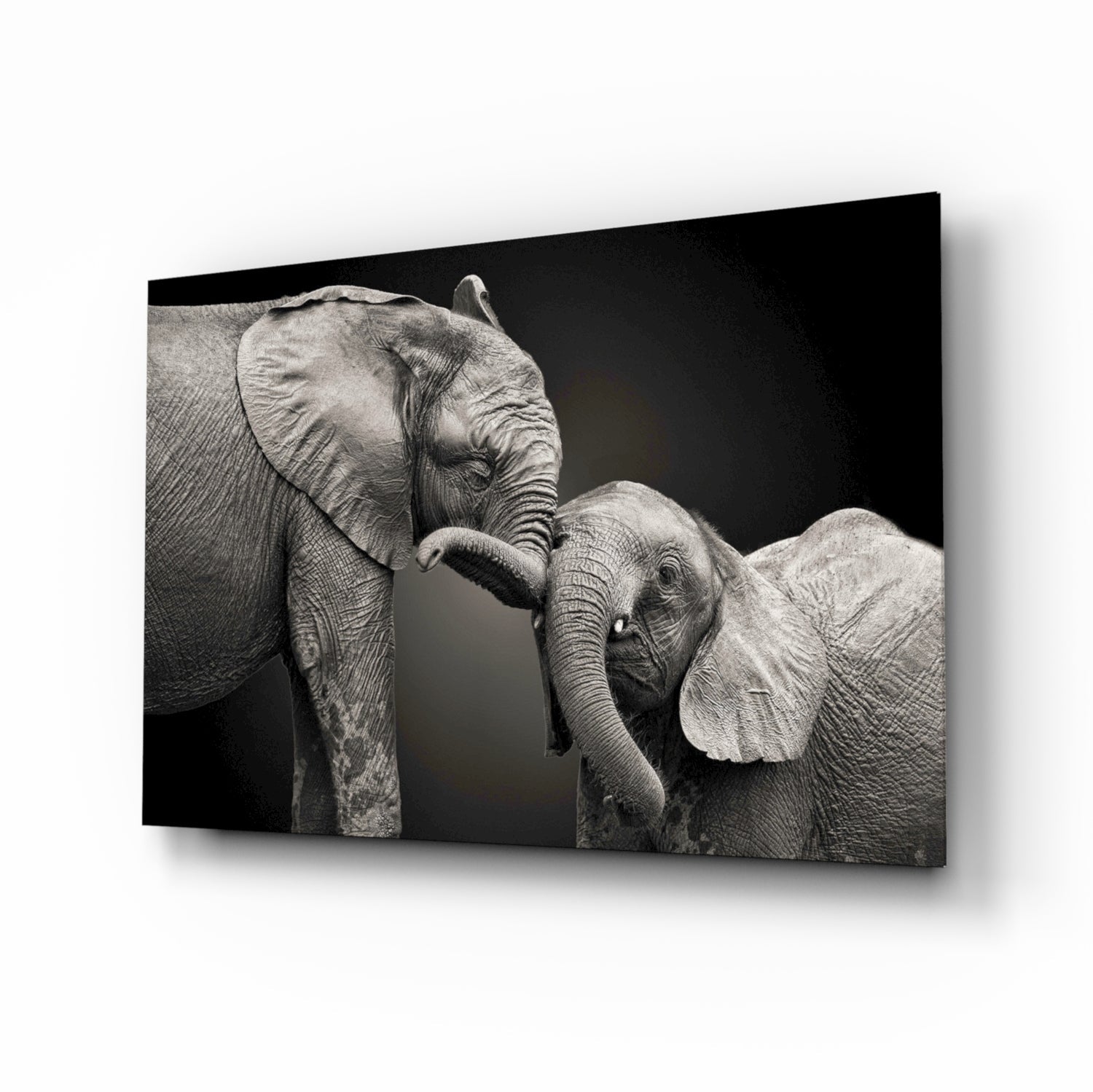 Adult elephant with trunk touching younger elephant calf against black background on glass wall art.