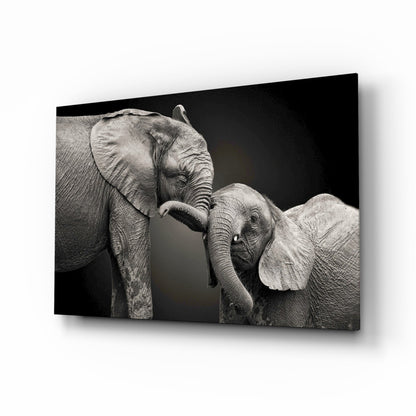 Adult elephant with trunk touching younger elephant calf against black background on glass wall art.
