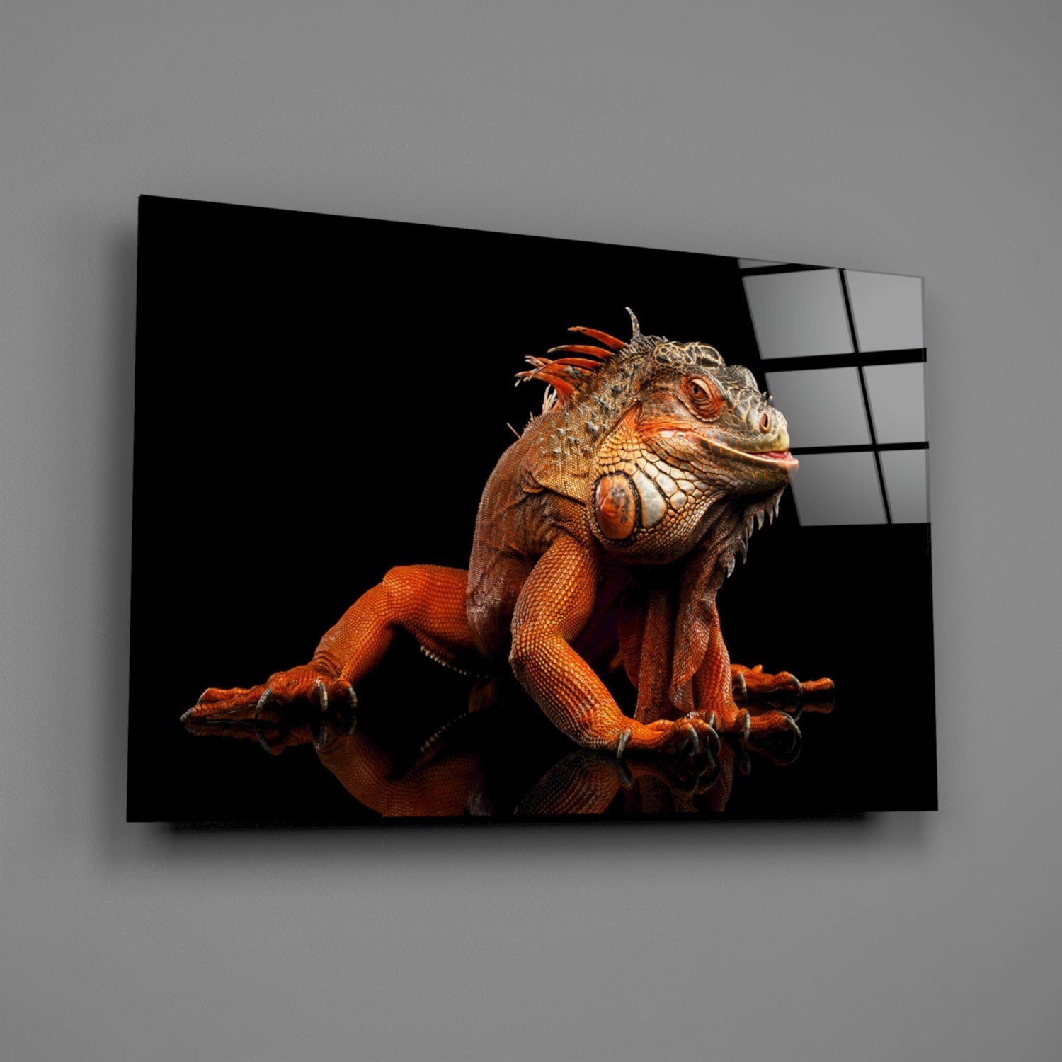 Orange and brown iguana on black background displayed on curved glass wall art panel with grid pattern.