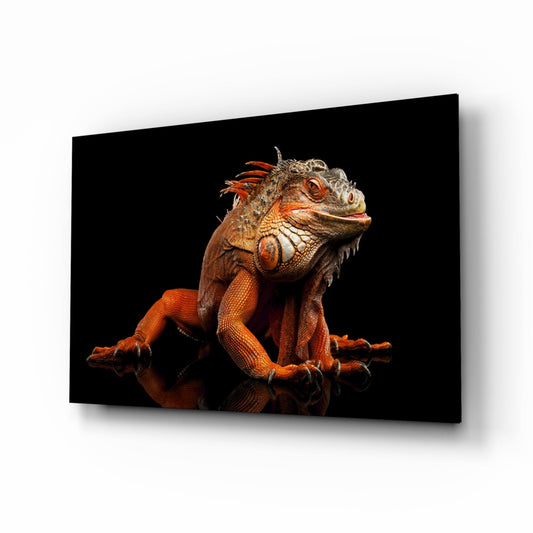 A vibrant orange and red iguana in profile against a black background displayed on a black glass wall panel with shadow effect.