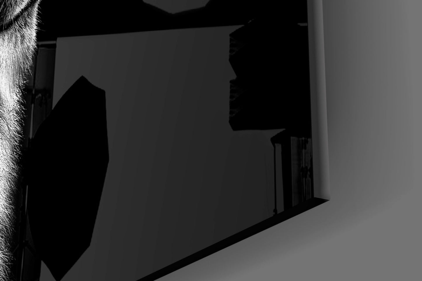 Monochrome Lion Facing Right Glass Wall Art