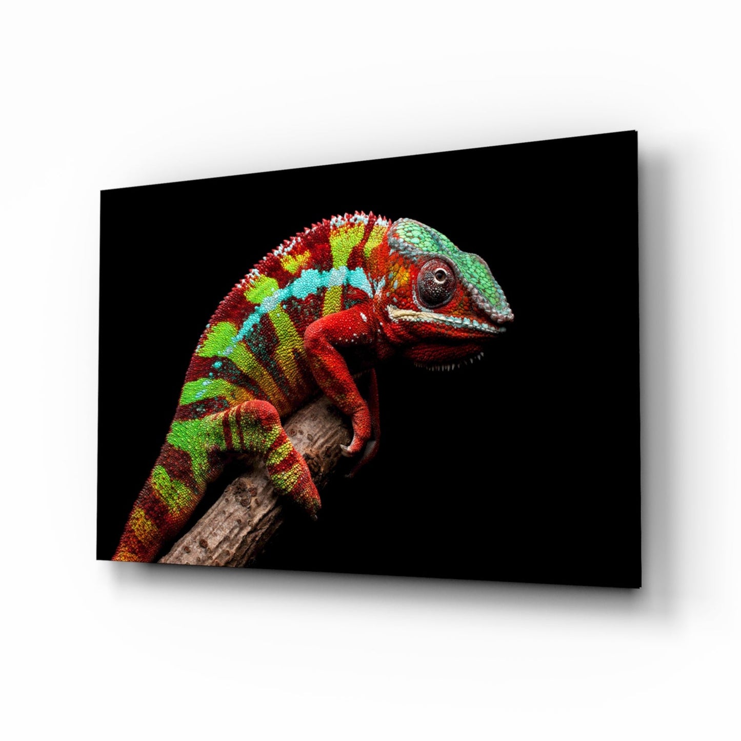 Red Green Striped Chameleon Glass Wall Art