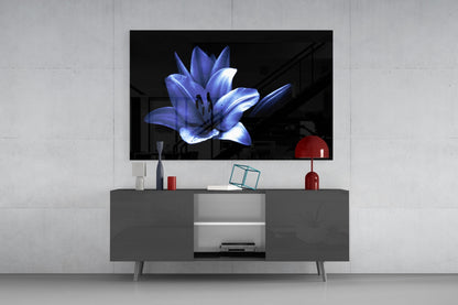 Glowing Blue Lily on Black Glass Wall Art