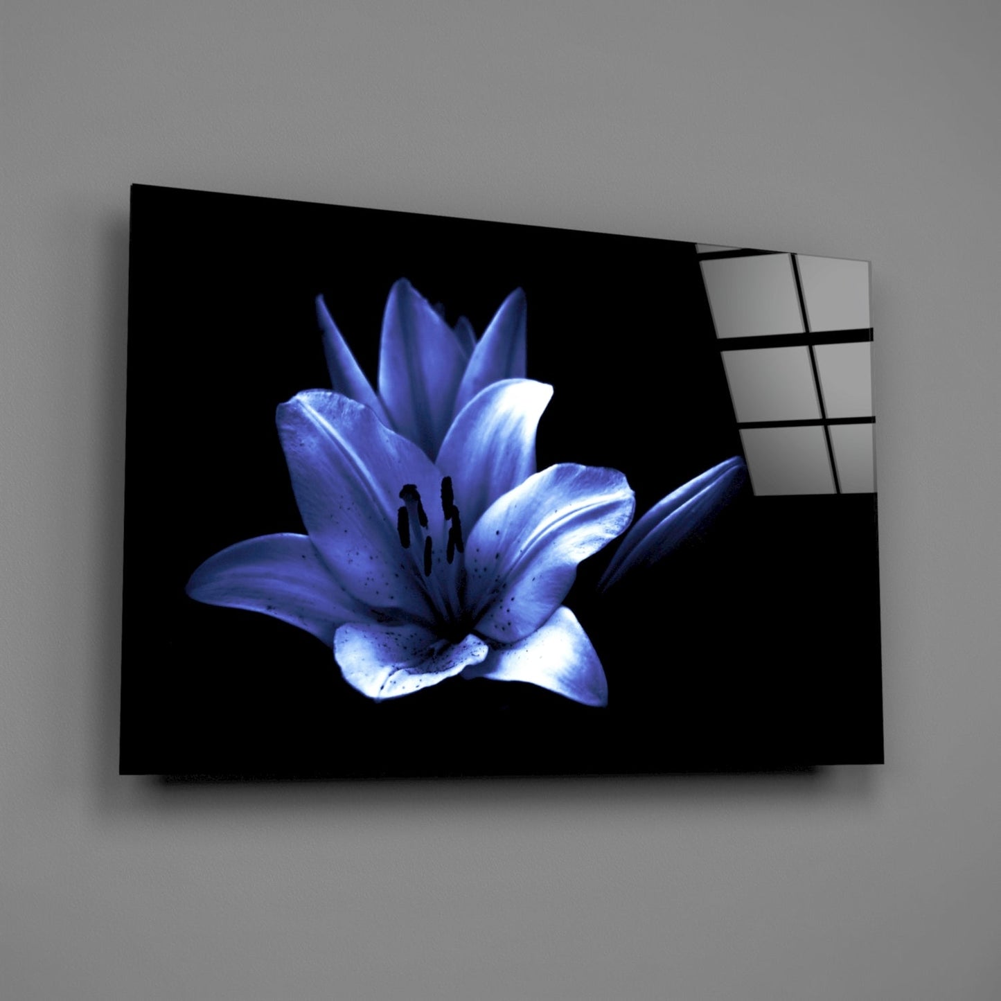 Glowing Blue Lily on Black Glass Wall Art