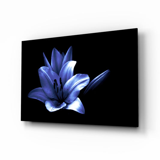 Blue lily with illuminated petals displayed on black glass panel, viewed at three-quarter angle against white background.