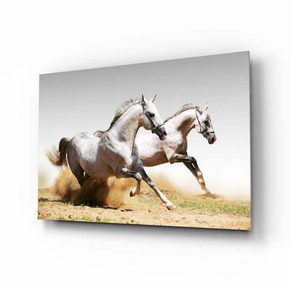Two White Horses Dust Gallop Glass Wall Art