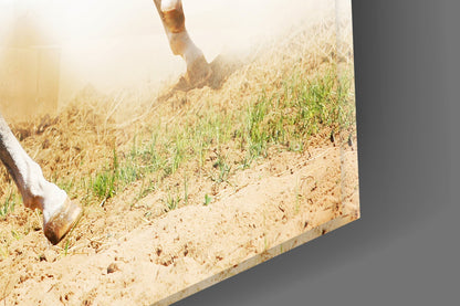 Two White Horses Dust Gallop Glass Wall Art