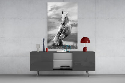 Tall White Stallion In Motion Glass Wall Art