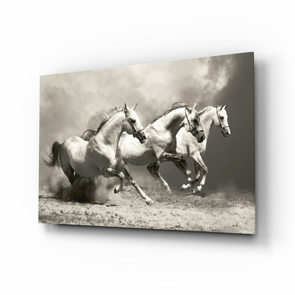 Three Gray Horses Sepia Run Glass Wall Art