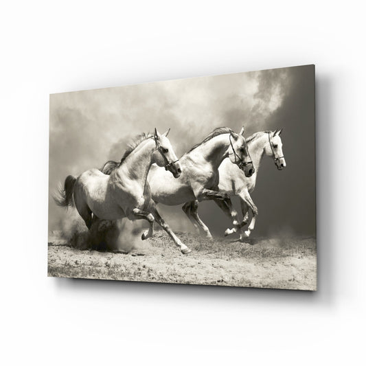 Three white horses galloping through dusty terrain in sepia-toned glass wall art displayed at an angle.