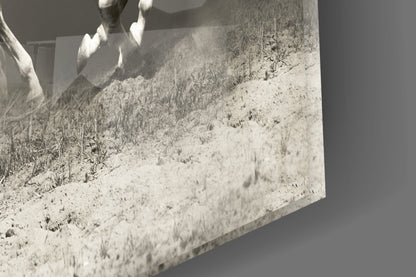 Three Gray Horses Sepia Run Glass Wall Art