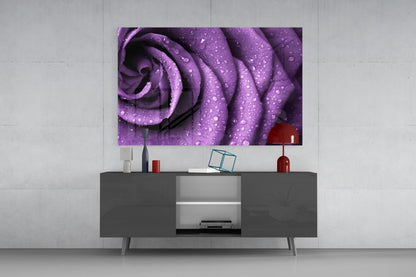 Rain Kissed Purple Rose Petals Glass Wall Art