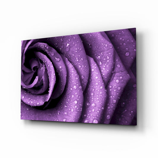Close-up angled view of purple rose petals covered in water droplets on glass wall art panel.