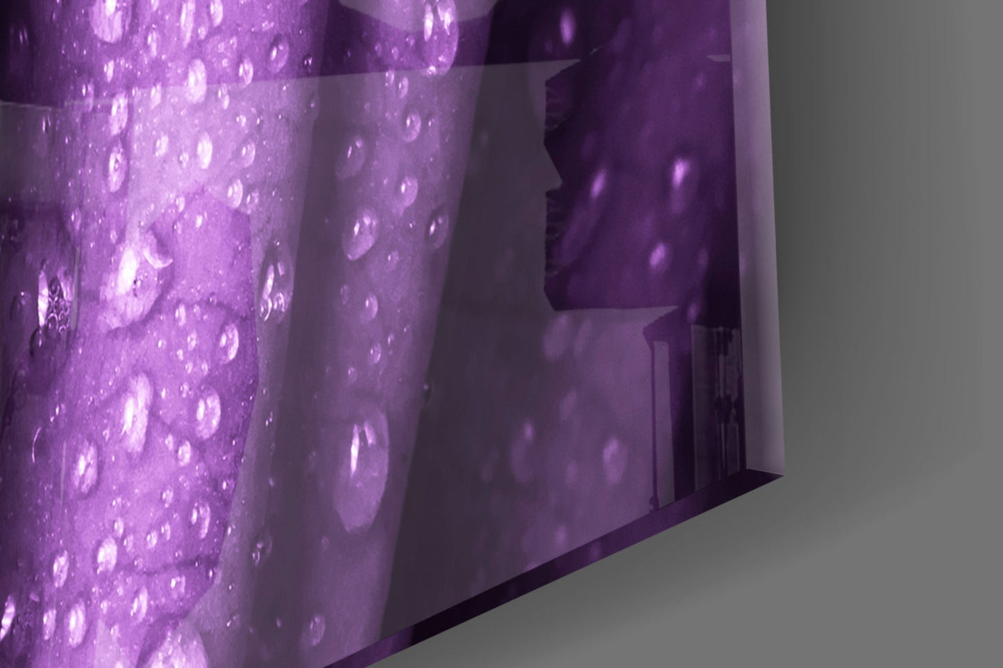 Rain Kissed Purple Rose Petals Glass Wall Art