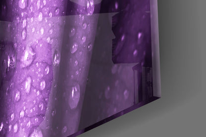 Rain Kissed Purple Rose Petals Glass Wall Art