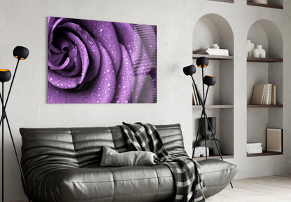 Rain Kissed Purple Rose Petals Glass Wall Art