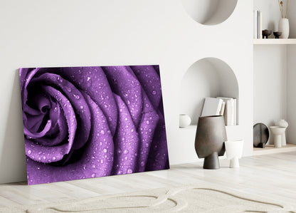 Rain Kissed Purple Rose Petals Glass Wall Art