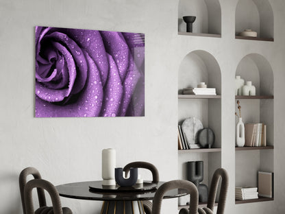 Rain Kissed Purple Rose Petals Glass Wall Art