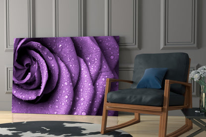 Rain Kissed Purple Rose Petals Glass Wall Art