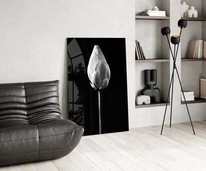 Monochrome Lotus Bud Glass Wall Art