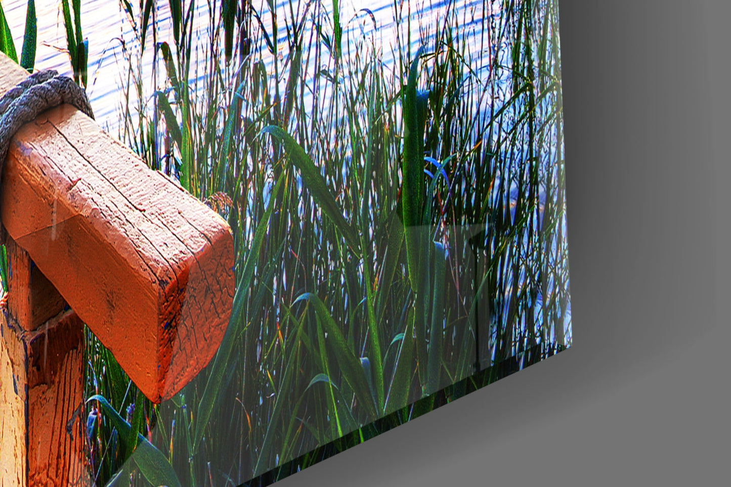 Pastel Sunset Reeds Rustic Dock Glass Wall Art