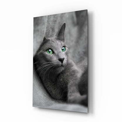 Green Eyed Gray Cat Glass Wall Art