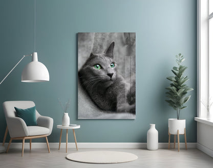 Green Eyed Gray Cat Glass Wall Art