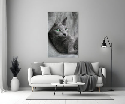 Green Eyed Gray Cat Glass Wall Art