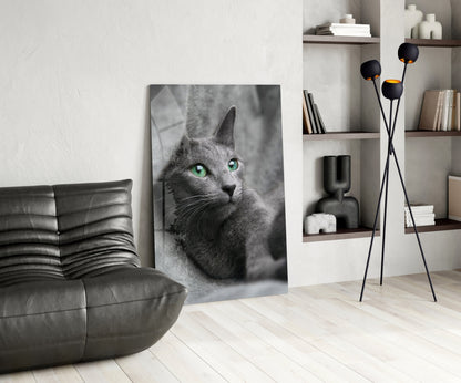 Green Eyed Gray Cat Glass Wall Art