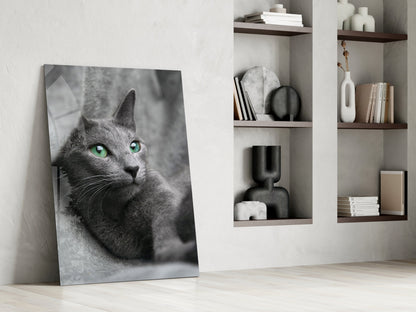 Green Eyed Gray Cat Glass Wall Art