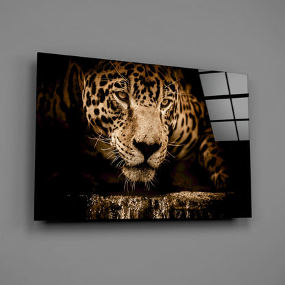 Golden Leopard At Waterhole Glass Wall Art