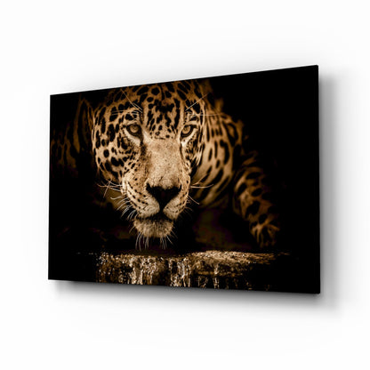 Golden Leopard At Waterhole Glass Wall Art