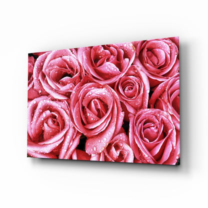 Dewy Pink Rose Bouquet Closeup Glass Wall Art