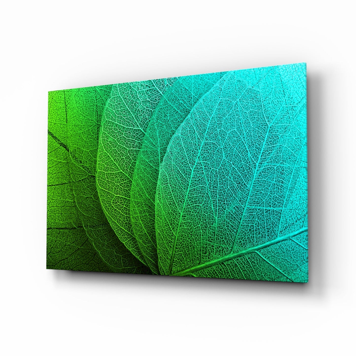 Green to Turquoise Leaf Vein Gradient Glass Wall Art