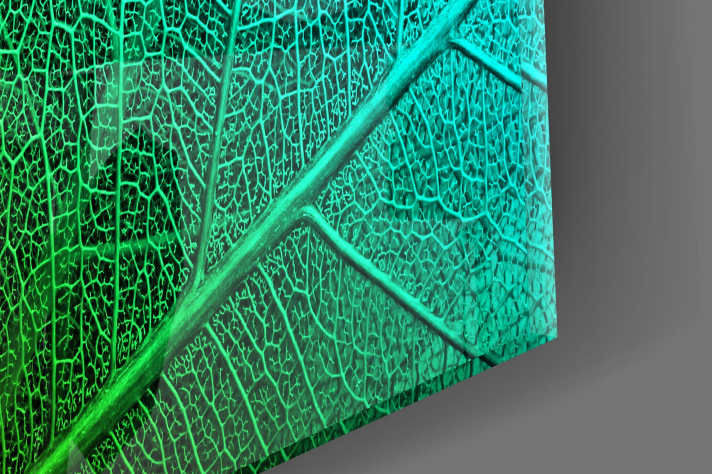 Green to Turquoise Leaf Vein Gradient Glass Wall Art
